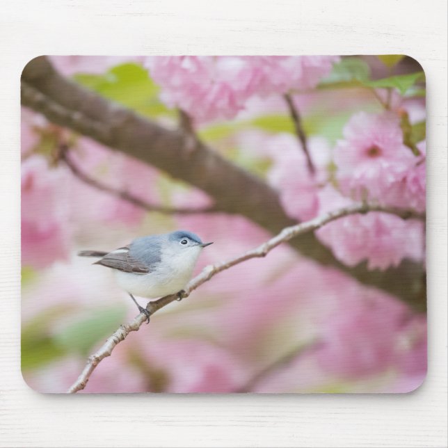 Vogel in Blossom Tree Mousepad (Vorne)
