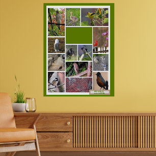 Vögel in Boston Poster