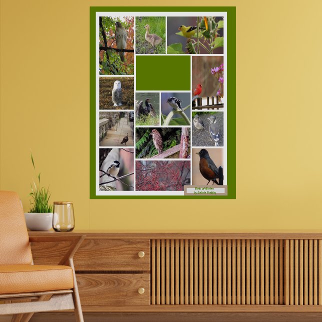 Vögel in Boston Poster (Wohnzimmer 2)