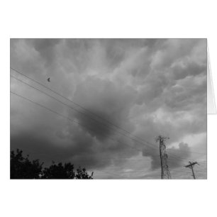 Vögel in der Wolkenkratzer / Noir