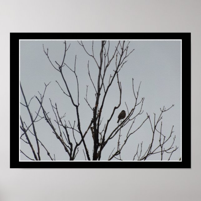Vogel in einem kahlen Baum Poster (Vorne)