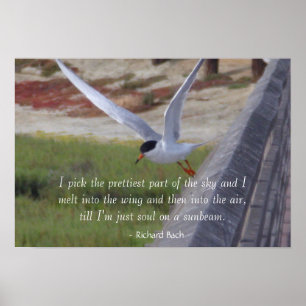 Vogel in Flight - Inspiration Poster
