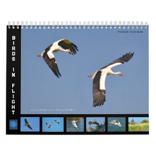 Vögel in Flug 12 Monate Kalender