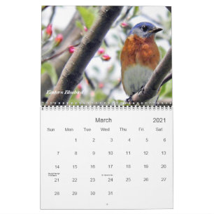 Vögel in Ihrer Hinterhoffotografie Kalender