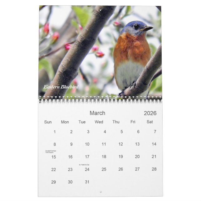Vögel in Ihrer Hinterhoffotografie Kalender (Mär 2026)