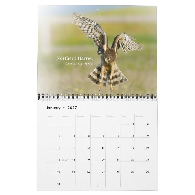 Vögel in Kalifornien - Kalender 2010 (Jan 2027)