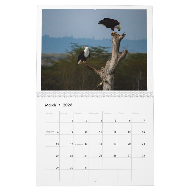 Vögel in Kenia - See Naivasha Kalender (Mär 2026)