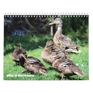 Vögel in Nord-Idaho Kalender