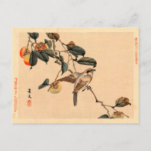 Vogel in PersimmonTree Postkarte