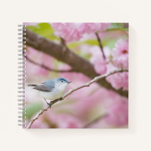 Vogel in rosa Blossom Tree Notizbuch