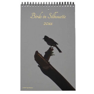 Vögel in Silhouette 2024 Natur-Foto Kalender
