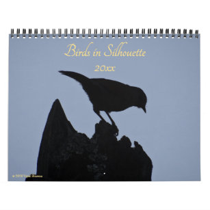 Vögel in Silhouette Naturfotografie 2024 Foto Kalender