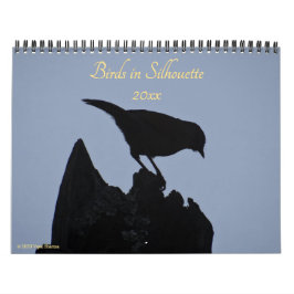 Vögel in Silhouette Naturfotografie 2026 Foto Kalender