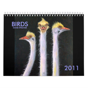 VÖGEL, IRGENDEIN MERKWÜRDIGES, 2011 KALENDER