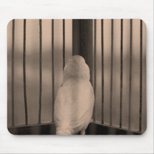 Vögel, Käfig, Bars Mousepad