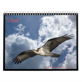 Vögel Kalender