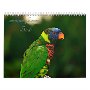 Vögel Kalender