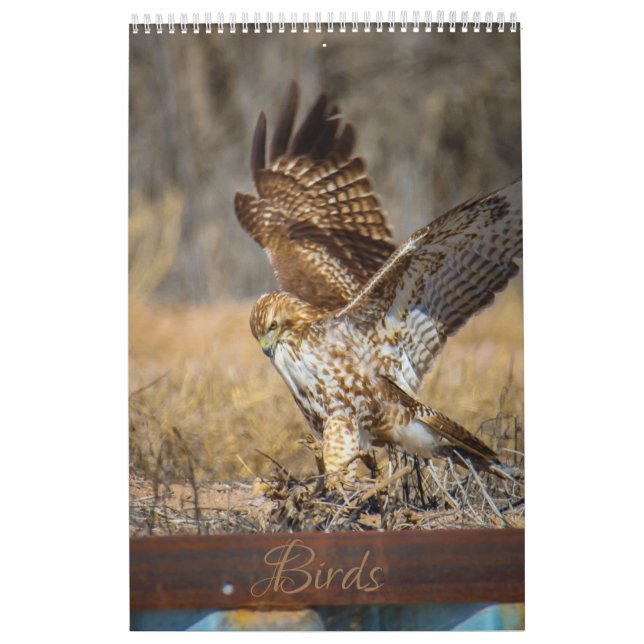 Vögel Kalender (Titelbild)