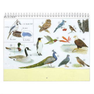 Vogel-Kalender 1 Kalender