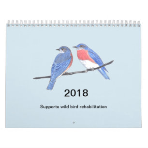 Vogel-Kalender 2018 Kalender