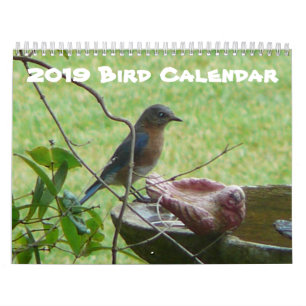 Vogel-Kalender 2019 Kalender
