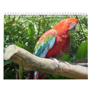 Vogel-Kalender 2 Kalender