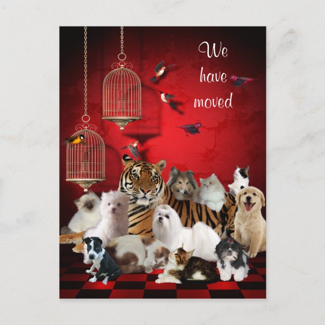 Vögel & Katzen und Käfige rot, Wir haben Postcard  Ankündigungspostkarte (Vorderseite)
