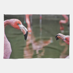 Vögel Küchentücher