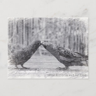 Vögel küssen postkarte
