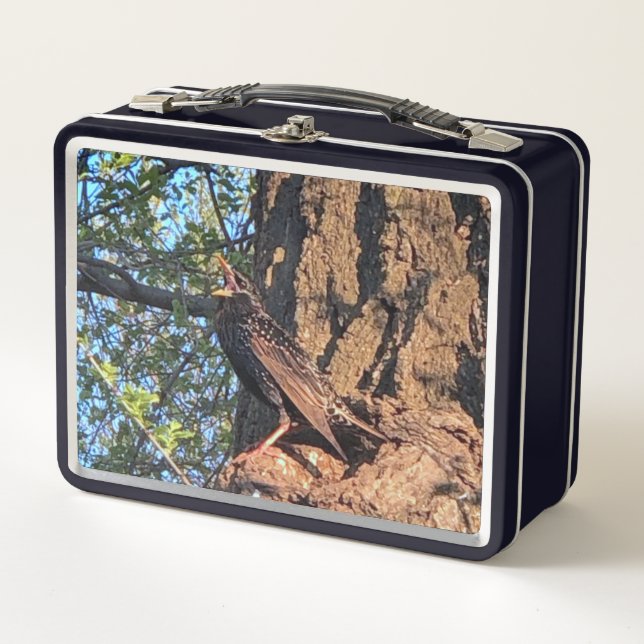Vogel Lunch Box (Vorderseite)