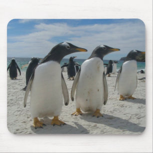 Vogel-Mausunterlage 19 Mousepad