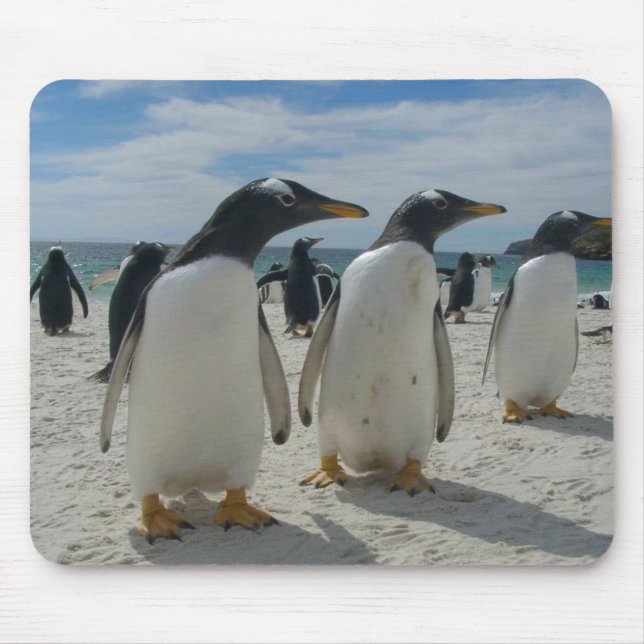 Vogel-Mausunterlage 19 Mousepad (Vorne)