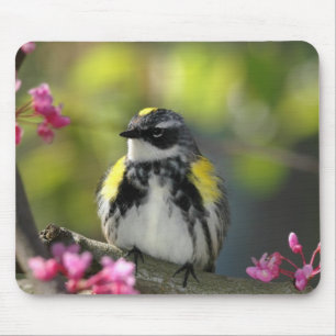 Vogel-Mausunterlage 6 Mousepad