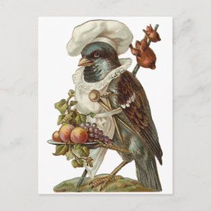 Vogel mit Essen und Kochmütze Postkarte