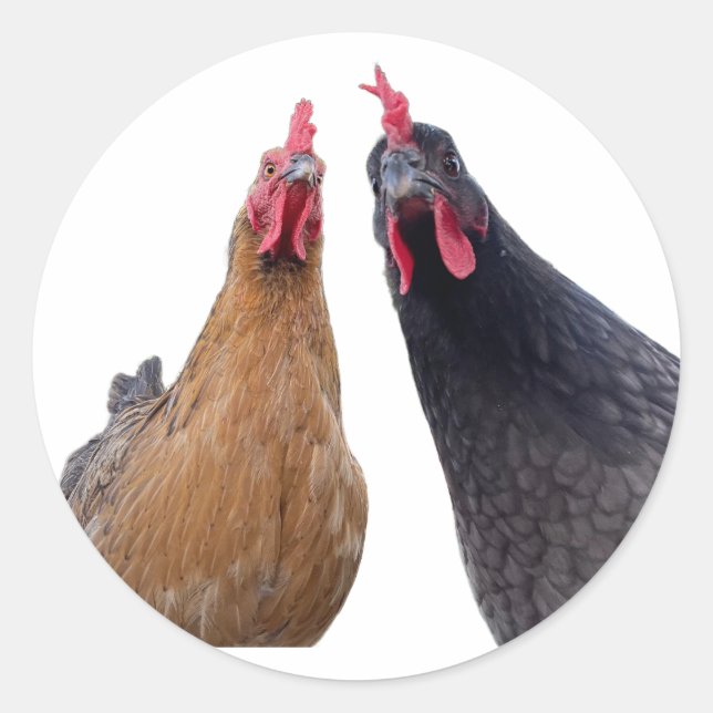 Vögel mit Haltung Aufkleber (Vorderseite)