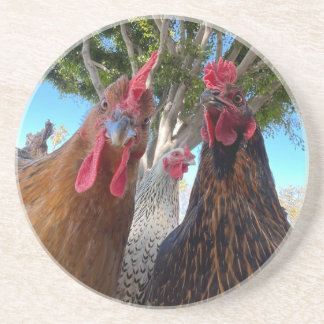Vögel mit Haltung Sandstein Untersetzer