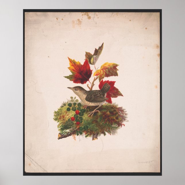 Vogel mit Herbst Foilage Antike Illustration Poster (Vorne)
