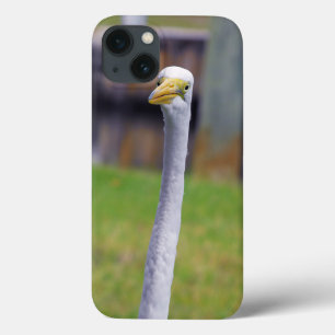 Vogel mit langem Hals Case-Mate iPhone Hülle