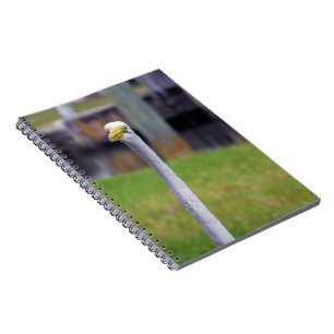 Vogel mit Long Neck Notizblock