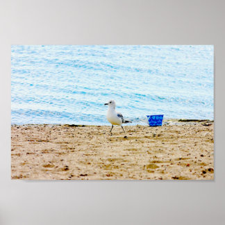 Vogel mit Sand Pail Poster