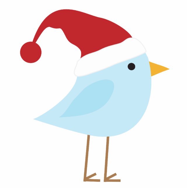 Vogel mit Weihnachtsmannmütze-Weihnachtsverzierung Fotoskulptur Ornament (Vorne)