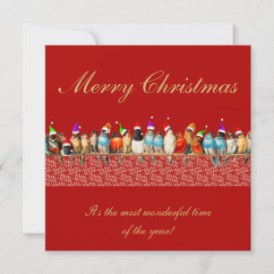 Vögel mit Weihnachtsmannmützen Weihnachtsgruß Karte