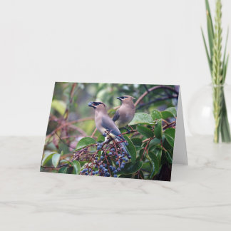 Vogel-Mittagessen-Gruß-Karte (freier Raum nach Karte