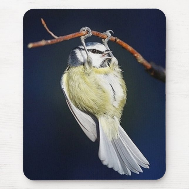Vogel Mousepad (Vorne)