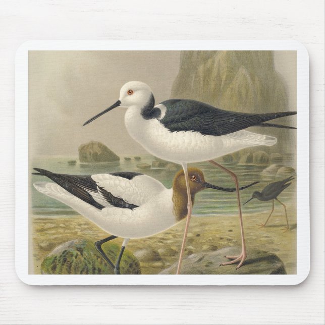 Vögel Mousepad (Vorne)