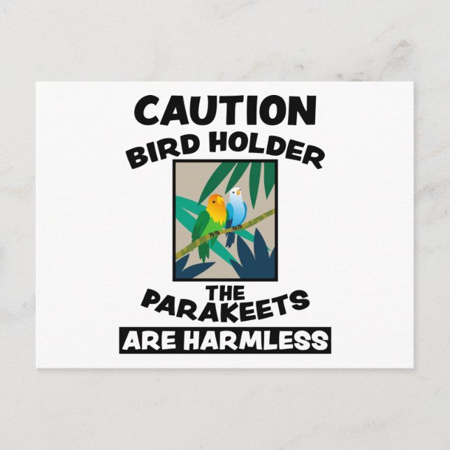 Vögel Niedliche exotische Tierdesign Vögel Freunde Postkarte (Vorderseite)