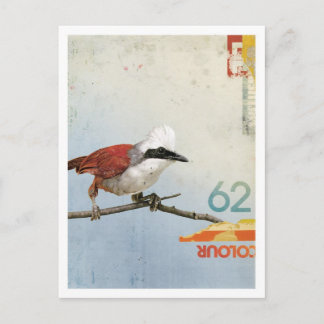 Vogel Nr. 3 Postkarte