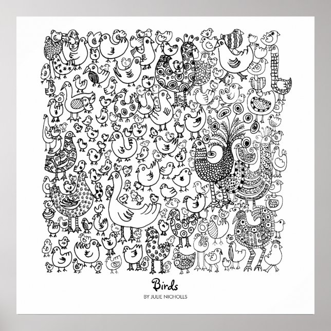Vögel Poster (Vorne)