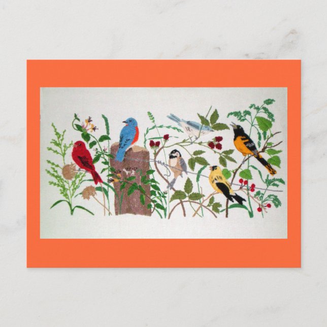 Vögel Postkarte (Vorderseite)