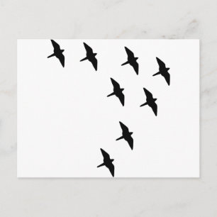 Vögel Postkarte
